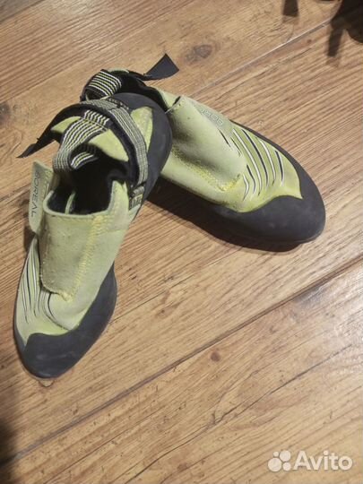 Скальники детские