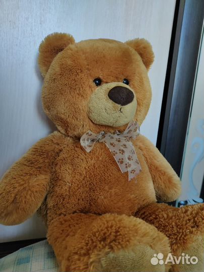 Плюшевый медведь
