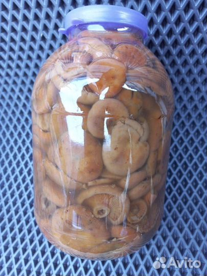 Грибы рыжики соленые