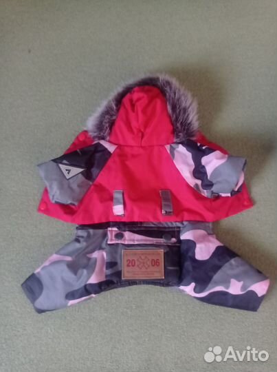 Одежда для маленьких собачек