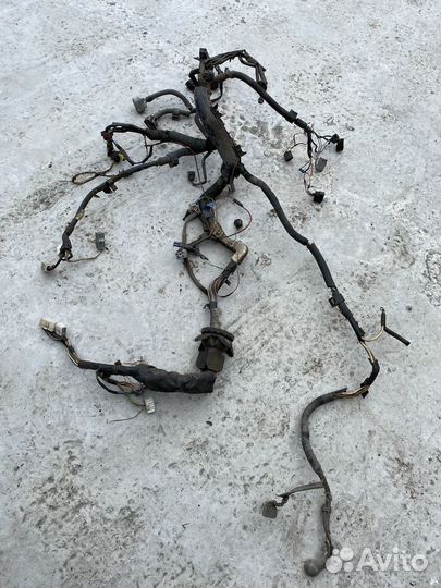 Коса двигателя Toyota Corolla 120 3c-e дизель