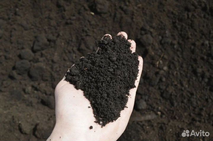 Грунт плодородный с доставкой