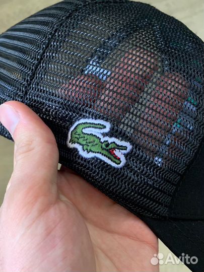 Бейсболка Lacoste