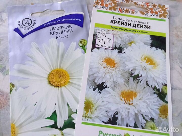 Цветы садовые многолетние