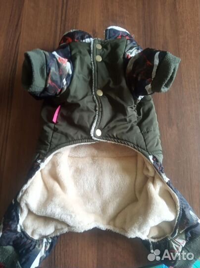 Одежда для животных