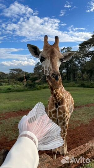 Тур на Маврикий из Москвы прямой перелёт