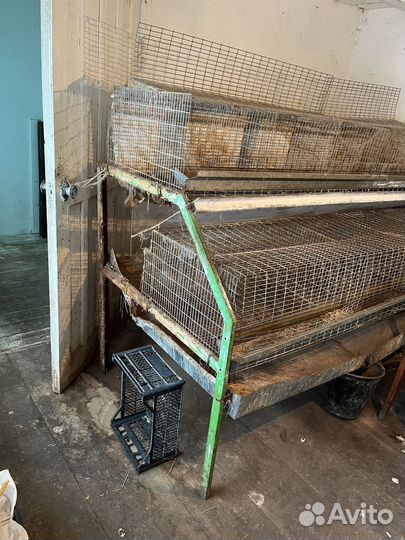 Клетки для кроликов