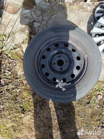 Matador Hectorra 5 195/65 R15