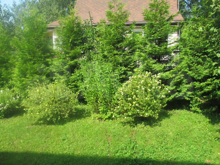 Дача 64 м² на участке 8 сот.