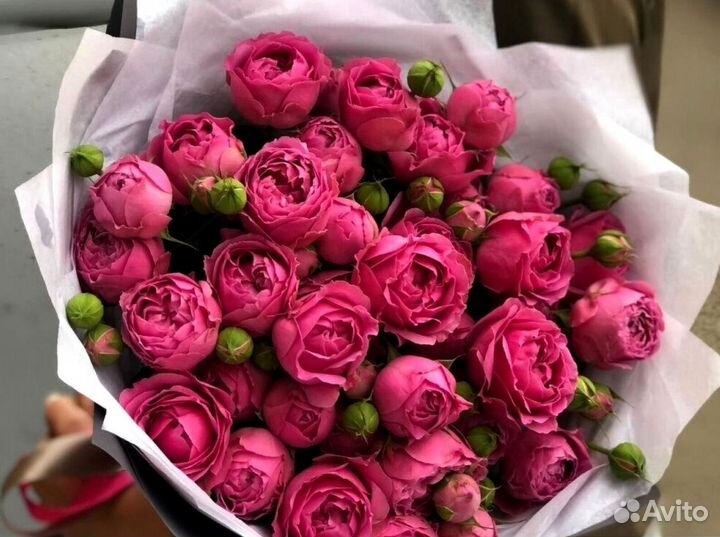Букет из 51 пионовидных роз
