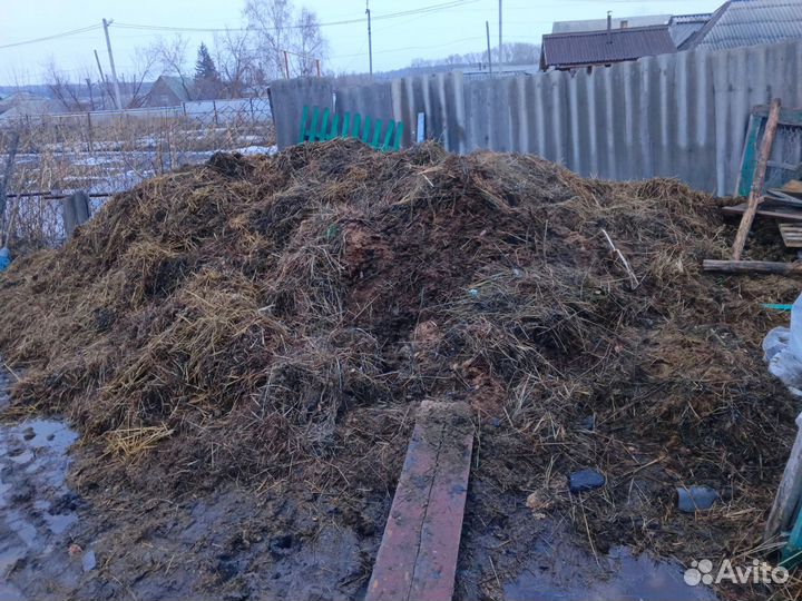 Навоз конский