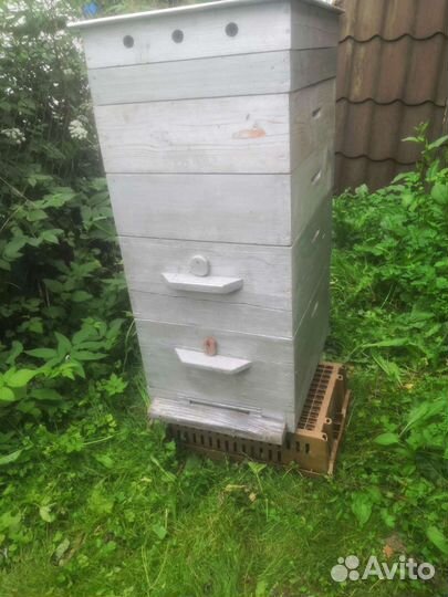 Улей для пчел бу