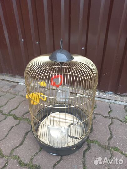 Клетка для птиц