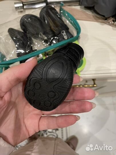 Сапоги для собак