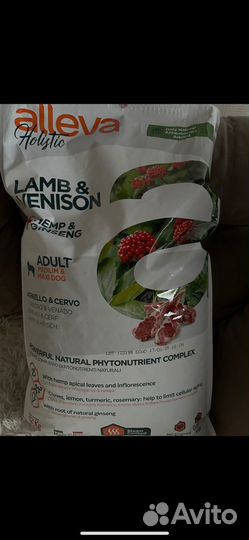 Корм для собак