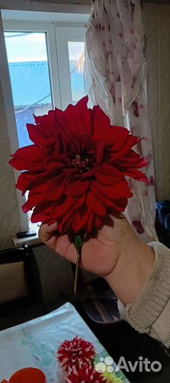 Живые цветы на развод