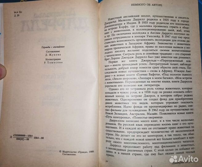 Под покровом пьяного леса