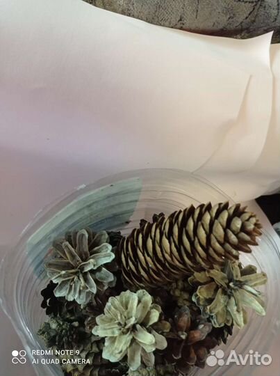 Шишки для поделок и панно, венки, выбеленные шишки