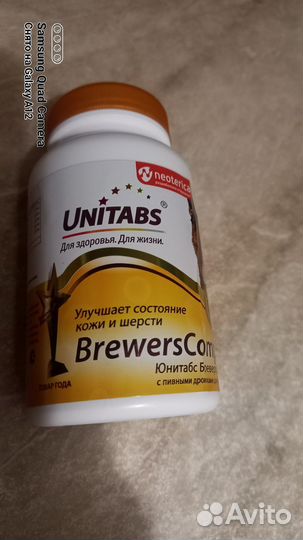 Витамины для собак