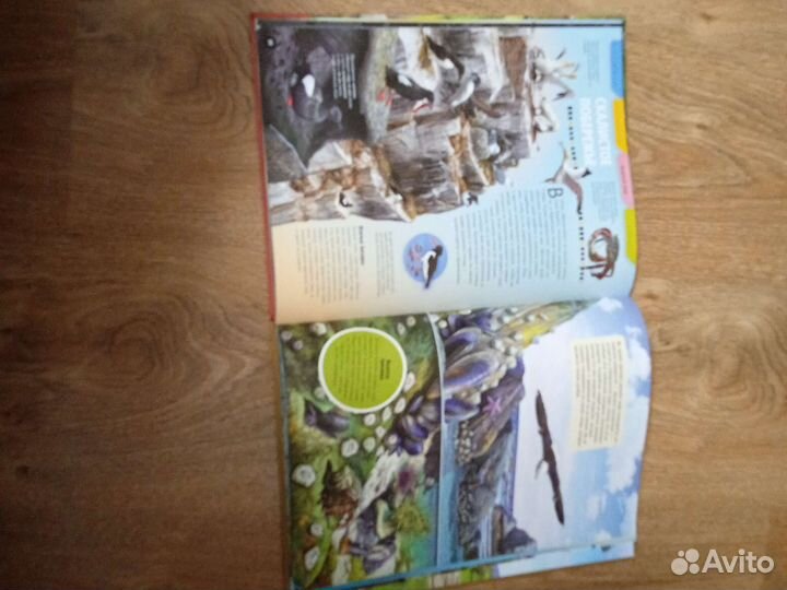 Стратегии выживания