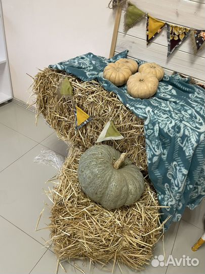 Солома и сено в тюках бесплатно