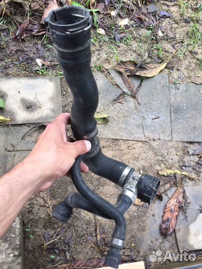 Верхний шланг радиатора BMW E60