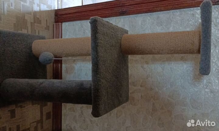 Когтеточка, лоток, наполнитель