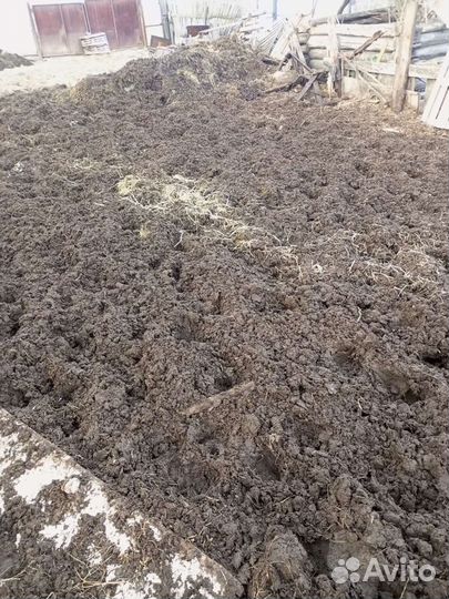 Навоз конский в мешках