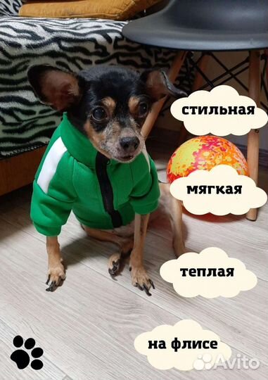 Толстовка для собак Одежда для маленьких и средних