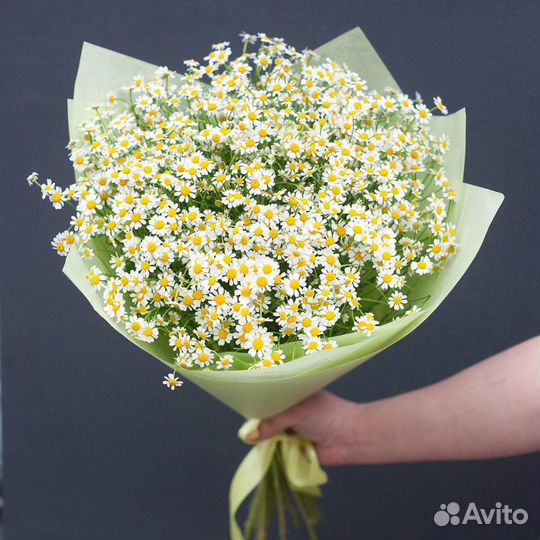 Букет из ромашек 11 21 31 41 51 101