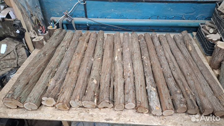 Можжевельник