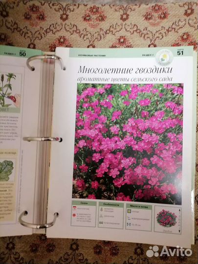 Инциклопедия для садовода, книга по категориям Всё