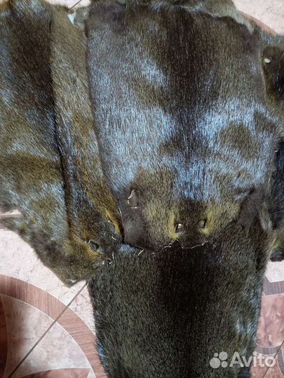 Шкуры нутрии