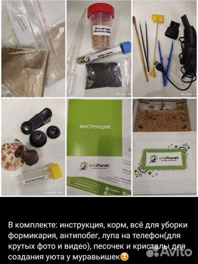 Муравьиная ферма antplanet