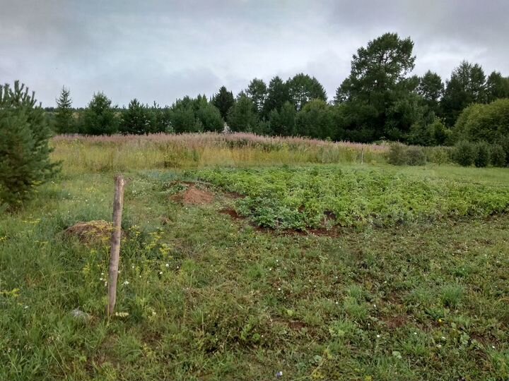 Участок 25 сот. (ИЖС)