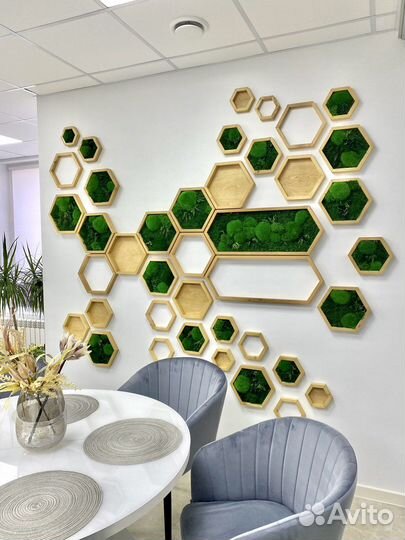 Мох. Озеленение. Фитостена. Декор. Живая стена