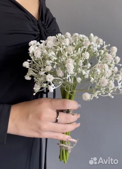 Гипсофила искусственная