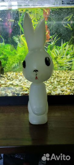 Заяц поздняя СССР