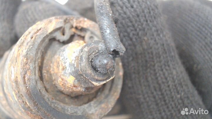 Амортизатор подвески Audi A6 (C5) Allroad, 2002