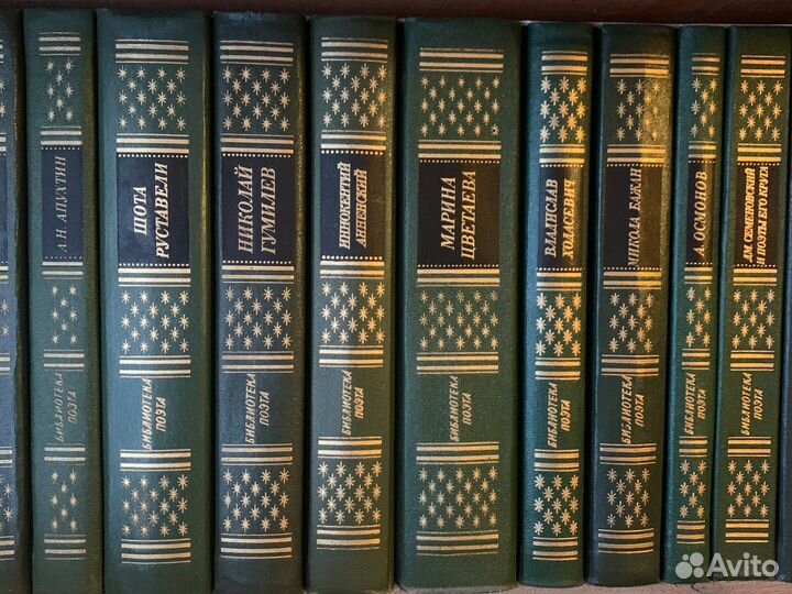 Библиотека поэта