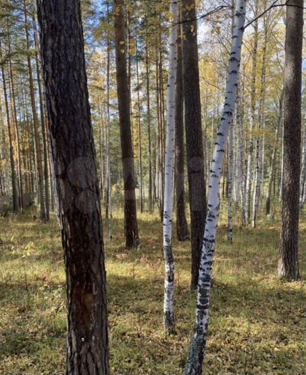 Участок 20 сот. (ИЖС)