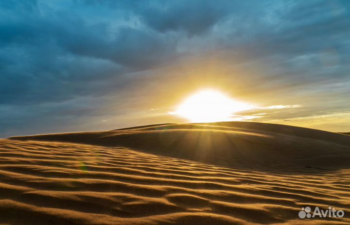 Прокат двухместной багги