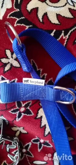 Строгий ошейник с мощным поводком