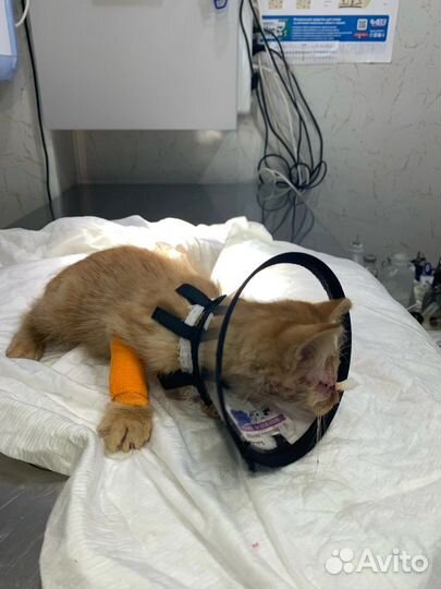 Машенька без глазика