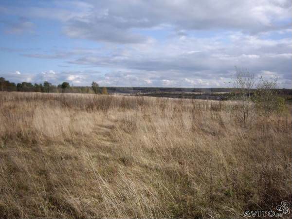 Участок 6 га (СНТ, ДНП)