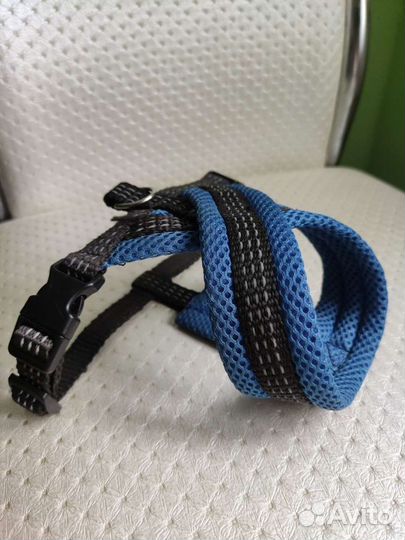 Шлейка для маленькой собаки