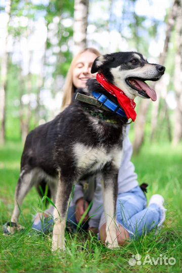 Брюс всемогущий бесплатно