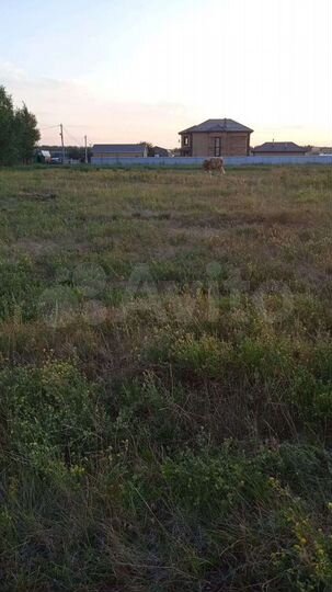 Участок 15 сот. (ИЖС)