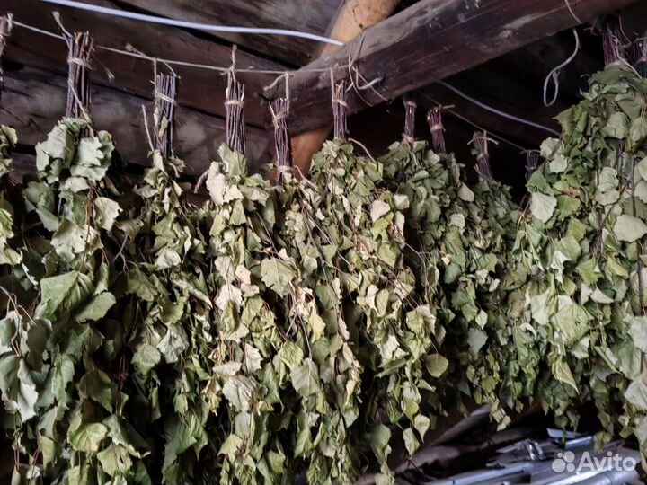 Дубовые веники для бани