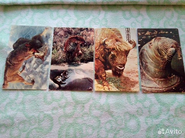 Открытки СССР